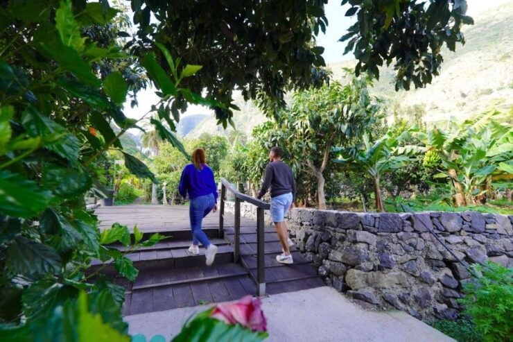 La Gomera: Entry Ticket for The Ethnographic Park - Ticket Details