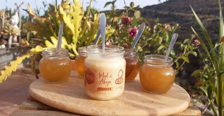 La Gomera: Flower Guided Tour With Butterflies and Bees - Tour Activity Details