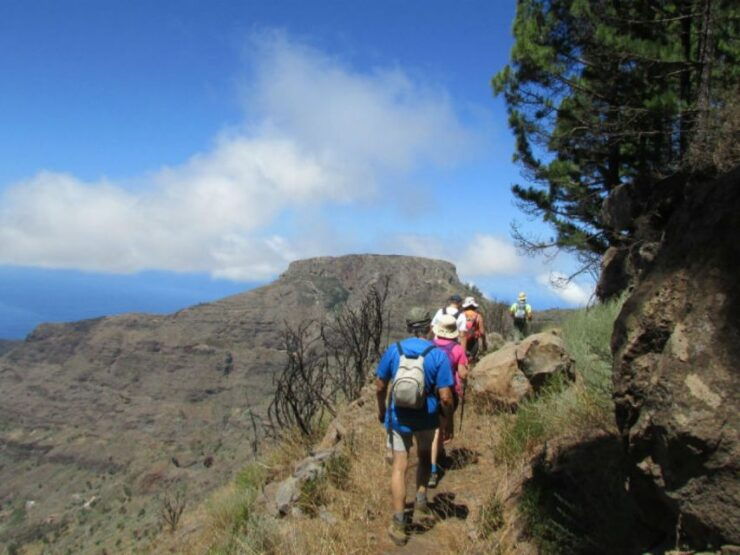 La Gomera: Flower Guided Tour With Butterflies and Bees - Experience Highlights