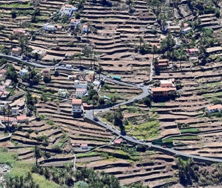 La Gomera: Garajonay National Park Entry Ticket and Tour - Guided Tour Experience