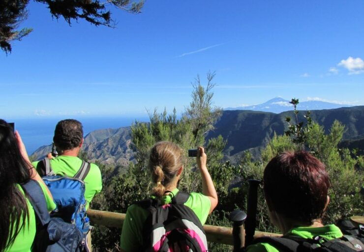 La Gomera: Garajonay National Park Forest Walk - Inclusions