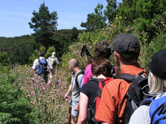 La Gomera: Guided Hiking Tours From Valle Gran Rey - Essential Items to Bring