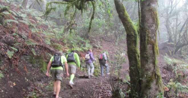 La Gomera: Hamlets of the North Hiking Route Tour - Additional Tips