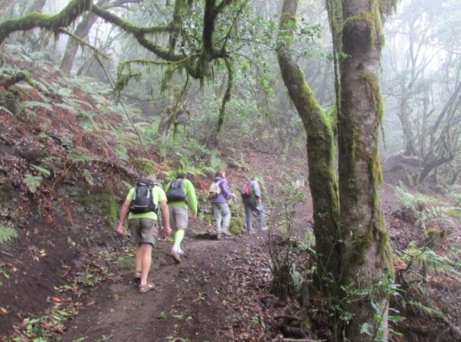 La Gomera: Hamlets of the North Hiking Route Tour - The Sum Up
