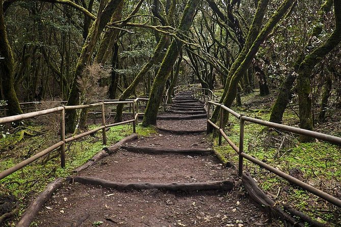 La Gomera Island Tour - Pickups From Puerto De La Cruz