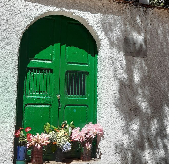 La Gomera: Laurisilva of Garajonay National Park - Tour Details