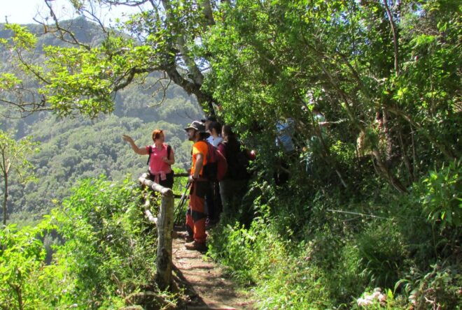 La Gomera: Laurisilva of Garajonay National Park - Directions
