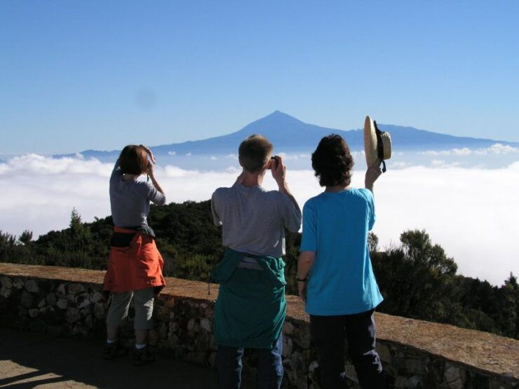 La Gomera: the Rain Forest (National Park) - Tour Details