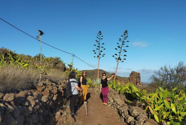 La Gomera: Winery Visit and Tasting Tour - Good To Know