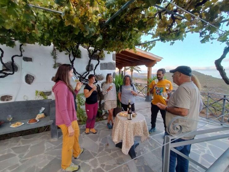 La Gomera: Winery Visit and Tasting Tour - Tour Description
