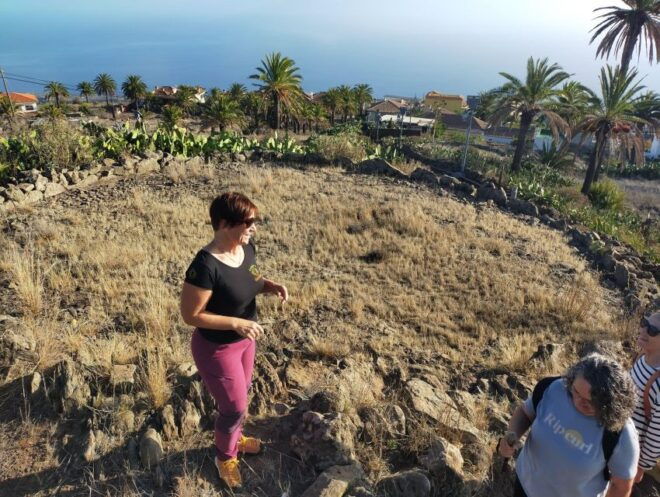 La Gomera: Winery Visit and Tasting Tour - Customer Reviews