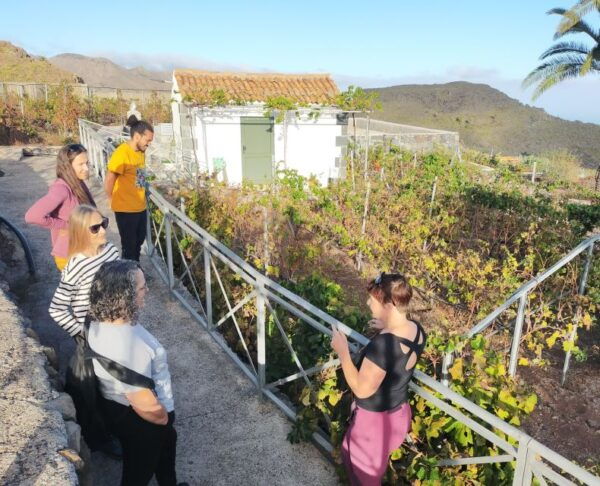 La Gomera: Winery Visit and Tasting Tour - Frequently Asked Questions