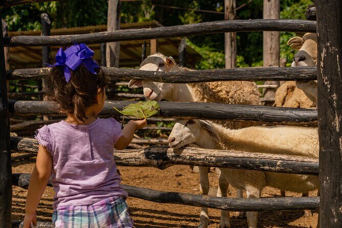 La Hacienda Outdoor Adventure - FAQs