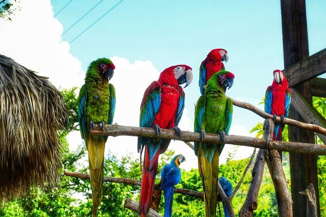 La Hacienda Park Tour - Good To Know