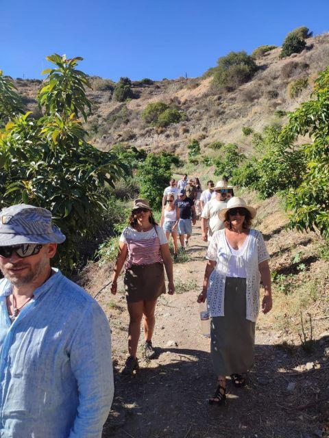La Herradura Coffee Farm: Tour in Europes Only Plantation - Good To Know