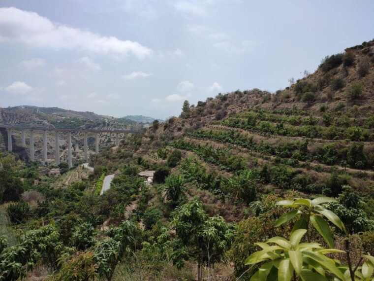 La Herradura Coffee Farm: Tour in Europes Only Plantation - Engaging Sensory Journey