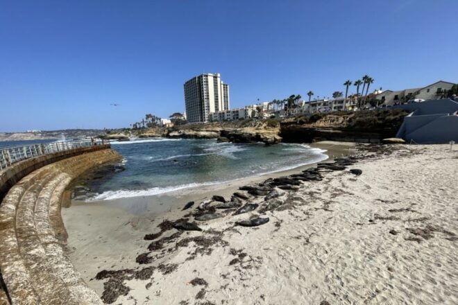La Jolla: 2-Hour Guided Segway Tour - Tour Itinerary