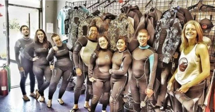 La Jolla Cove and Caves Snorkeling Tour- Sealions - Experience and Itinerary