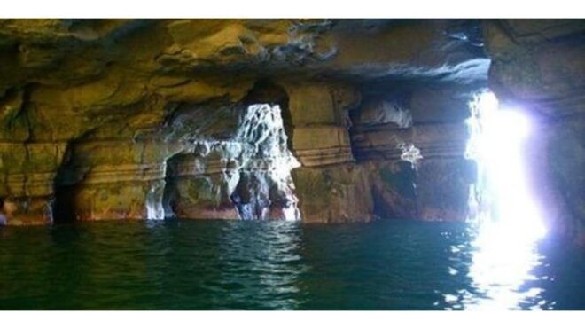 La Jolla Cove and Caves Snorkeling Tour- Sealions - Included Amenities