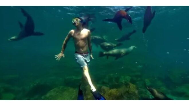 La Jolla Cove and Caves Snorkeling Tour- Sealions - Frequently Asked Questions