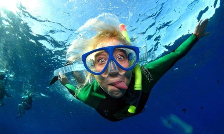 La Jolla: Cove and Caves Snorkeling Tour With Sea Lions - Provider Information