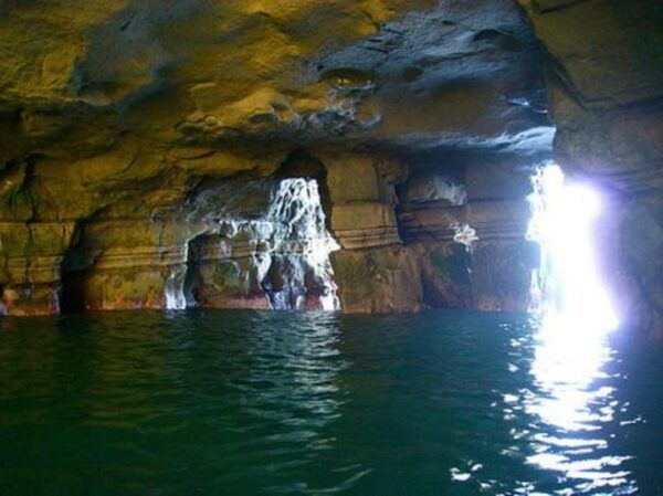La Jolla: Cove and Caves Snorkeling Tour With Sea Lions - Important Guidelines