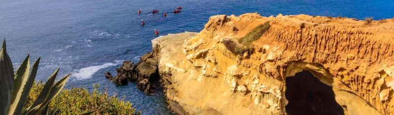 La Jolla: Full-Day Snorkel Gear Rental with Wetsuit Option - Exploring La Jolla: Full-Day Snorkel Gear Rental with Wetsuit Option