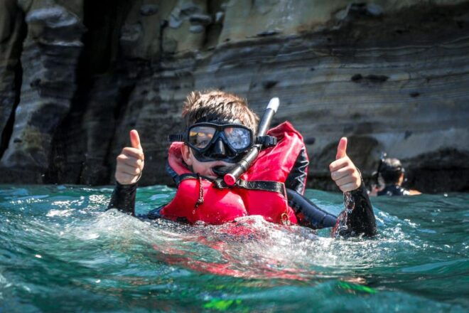 La Jolla: Leopard Shark Guided Snorkeling Tour - Meeting Point and Location