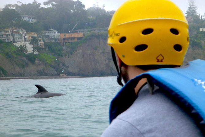 La Jolla Sea Caves Kayak Tour - Traveler Photos and Reviews