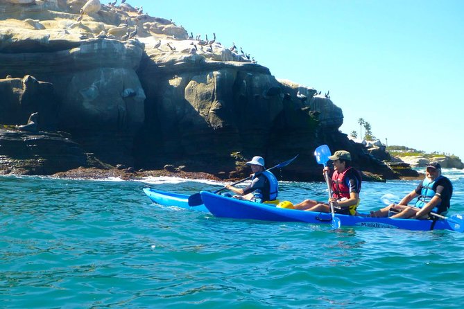 La Jolla Sea Caves Kayak Tour - Common Questions