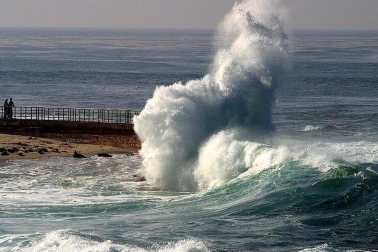 La Jolla: Self-Guided Smartphone Audio Tour - Booking Information