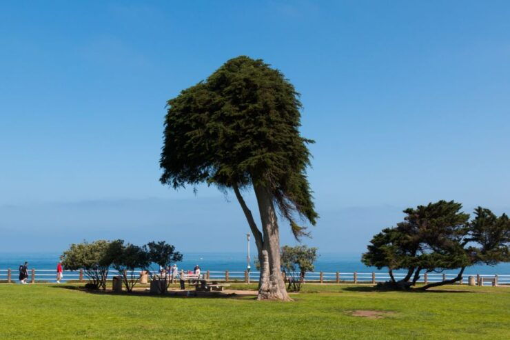 La Jolla: Self-Guided Walking Audio Tour - Activity Details