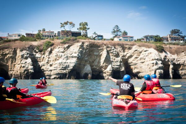 La Jolla: Sunset Kayak Tour of the 7 Caves - Witnessing Marine Life