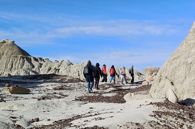 La Leona Petrified Forest Hiking Tour From El Calafate - Tour Highlights