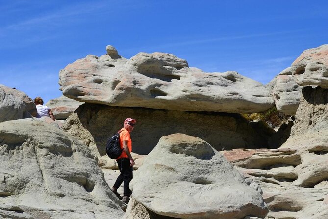 La Leona Petrified Forest Hiking Tour From El Calafate - Pickup and Transportation Details