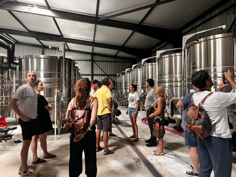La Londe-les-Maures: Half-Day Wineries Tour with Tastings - What Makes This Wineries Tour Special?  