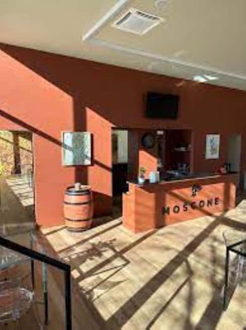 La Madama: A Journey through Piedmont's Tradition and Wines - The Itinerary and What to Expect