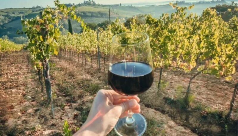 La Madama: A Journey through Piedmont's Tradition and Wines - Who Will Love This Tour?