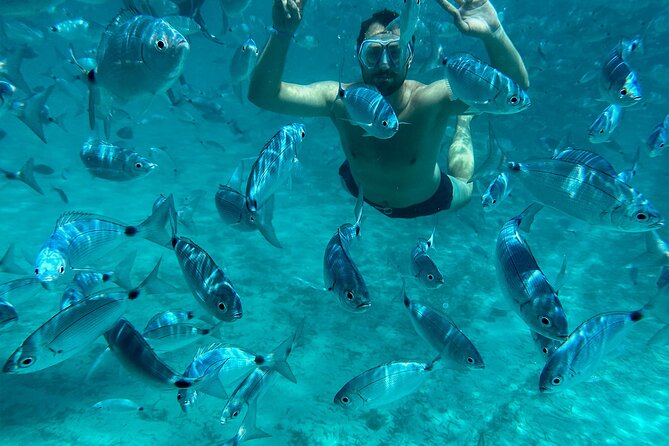 La Maddalena Archipelago Catamaran Day Tour - Inclusions