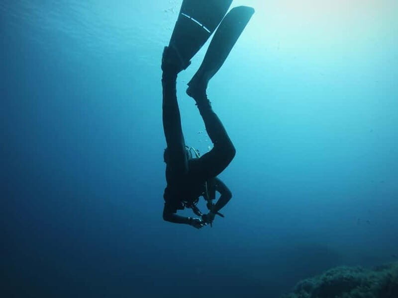 La Maddalena Archipelago & Lavezzi: Adventure Dives trip - Good To Know