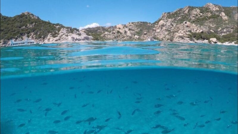 La Maddalena Arcipelago: sailing tour among the Islands - What to Expect on the Tour