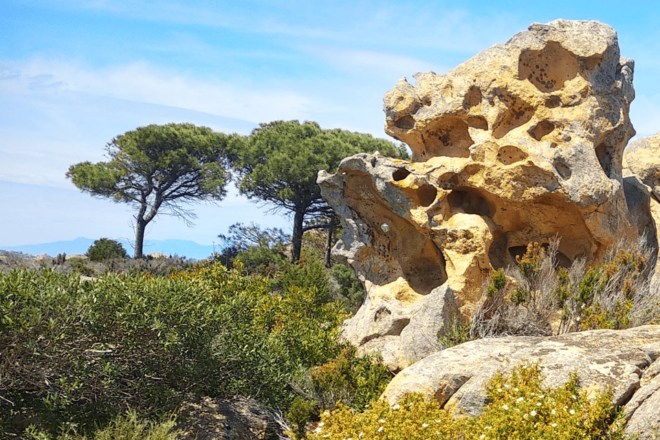 La Maddalena - Caprera: Premium E-Bike Tour Ducati E-Bikes - Inclusions and Support