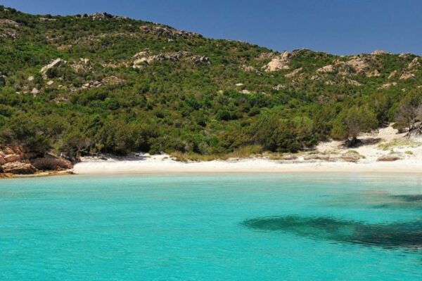 La Maddalena: Caprera, Spargi, Budelli & Santa Maria Boat Tour - Customer Reviews