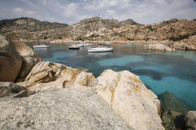 La Maddalena: Full-Day Sailing Trip - Languages and Group Size