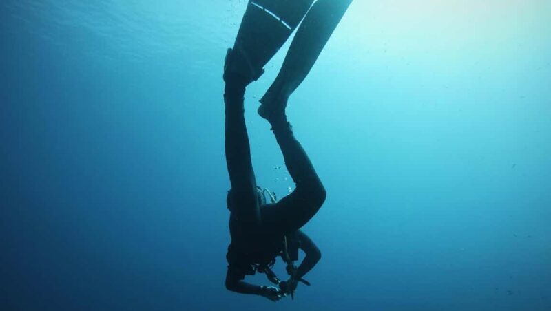 La Maddalena & Lavezzi: Full-Day Boat Scuba Diving Trip - What the Tour Includes and What to Keep in Mind