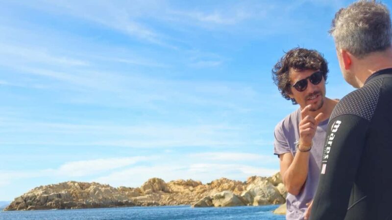 La Maddalena & Lavezzi: Full-Day Boat Scuba Diving Trip - Who Should Consider This Tour