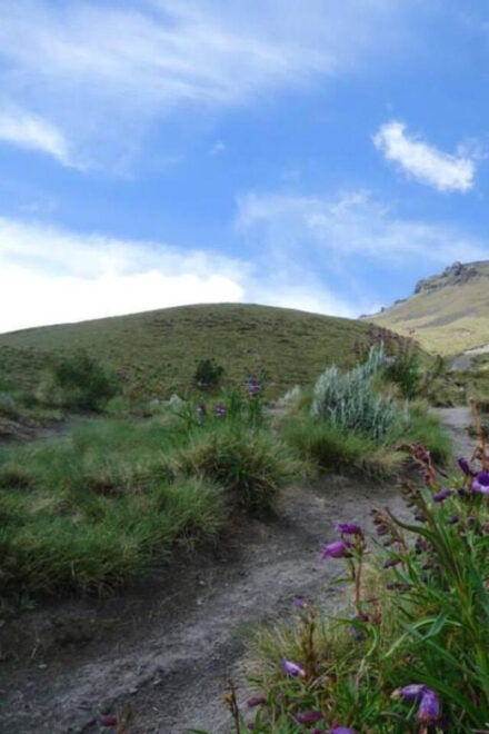 La Malinche Volcano: Hike to the Top and Explore Tlaxcala - Scenic Views and Vistas