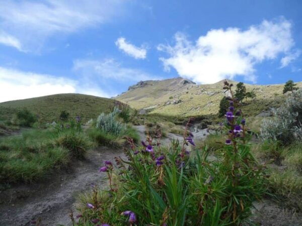 La Malinche Volcano: Hike to the Top and Explore Tlaxcala - Frequently Asked Questions