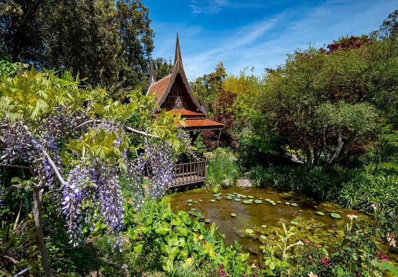 La Mortella Gardens excursion from Ischia - Introducing the La Mortella Gardens tour