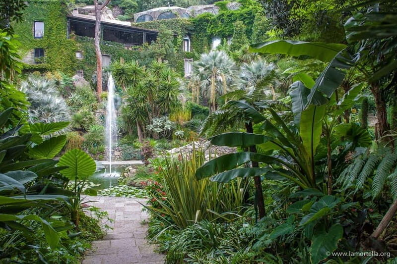 La Mortella Gardens excursion from Ischia - Key takeaways